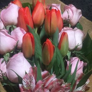 Meet your Posher, Dana